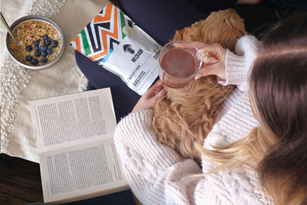 How to Reset After the Holidays: Gentle Ways to Prepare for January with NoCrash