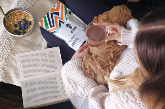 How to Reset After the Holidays: Gentle Ways to Prepare for January with NoCrash