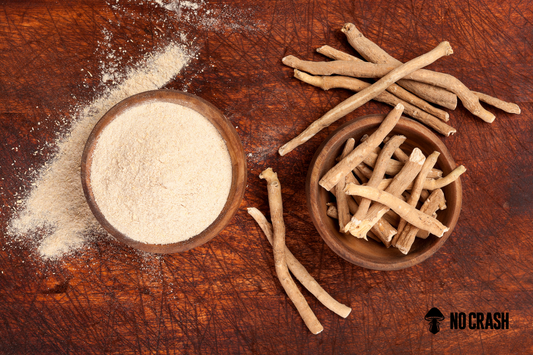 KSM-66 vs Regular Ashwagandha: What's the Difference and Why It Matters