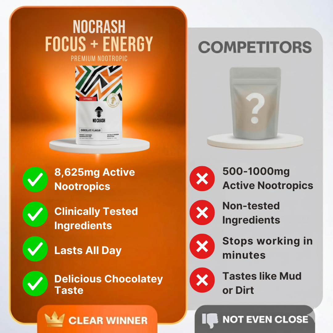 NoCrash (Hot Chocolate Flavour) - Starter Pack