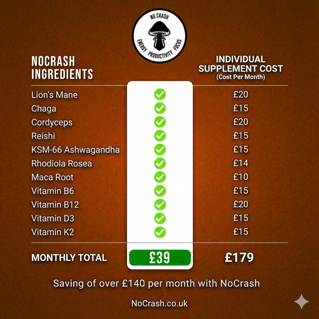 NoCrash (Hot Chocolate Flavour) - Starter Pack