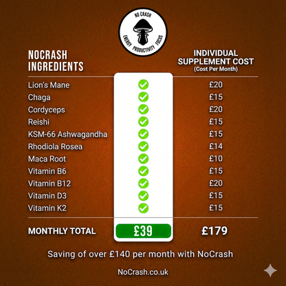 NoCrash (Hot Chocolate Flavour) - Starter Pack