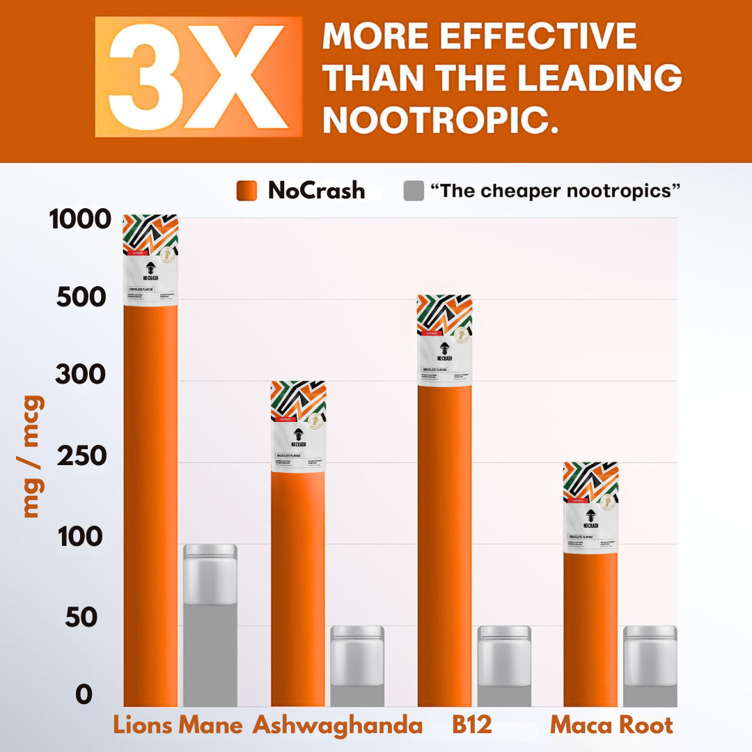 NoCrash (Hot Chocolate Flavour) - Starter Pack