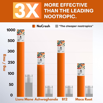 NoCrash (Hot Chocolate Flavour) - Starter Pack