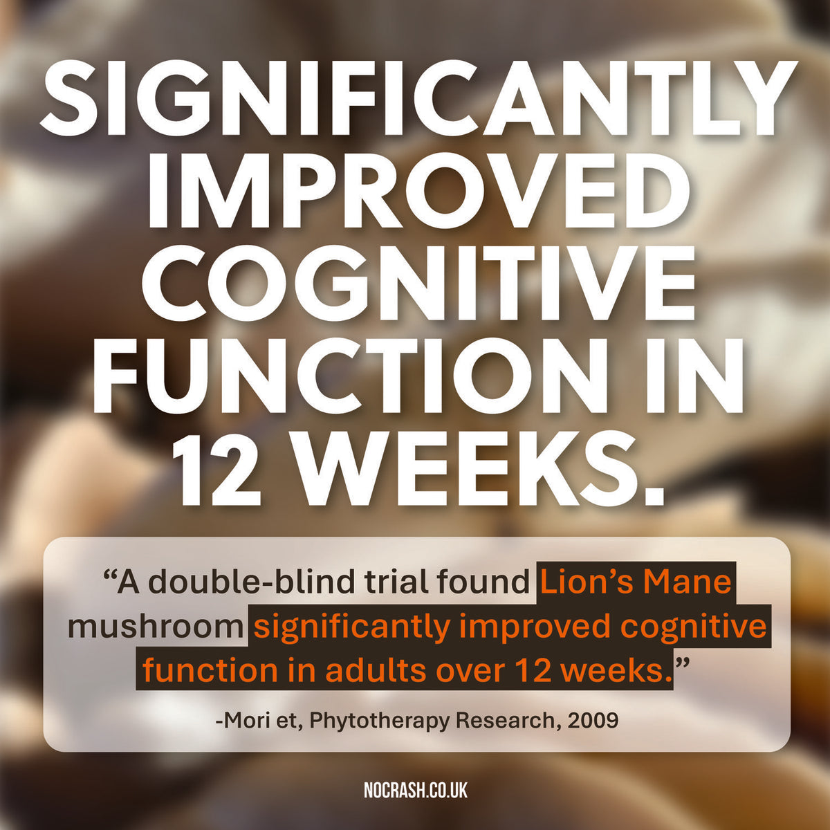 NO CRASH — Functional Mushroom Chocolate Drink | Lion's Mane, Cordyceps & Adaptogens