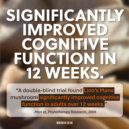 NO CRASH — Functional Mushroom Chocolate Drink | Lion's Mane, Cordyceps & Adaptogens